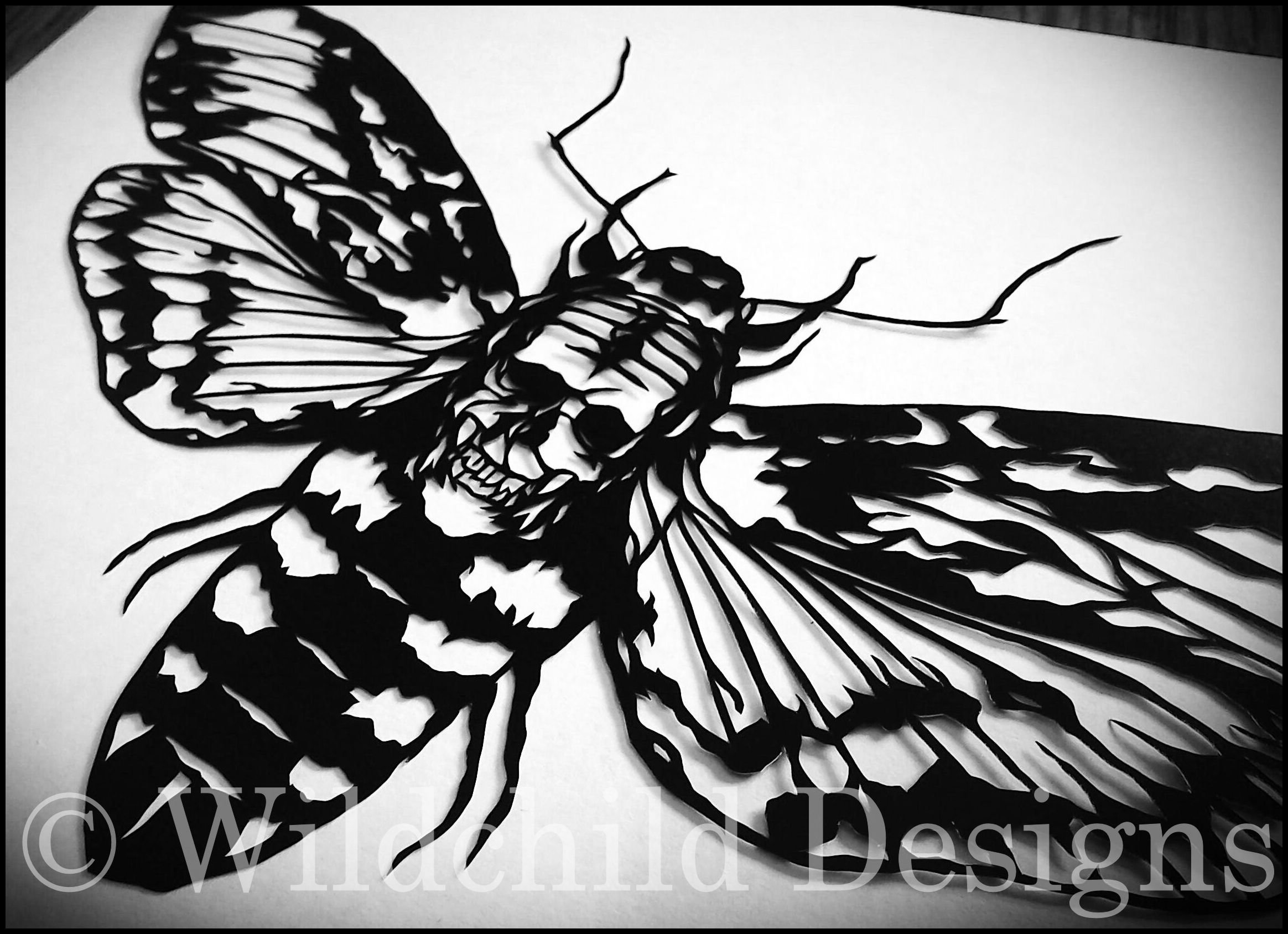 Death's Head Moth Paper Cutting Template Commercial Use | Etsy