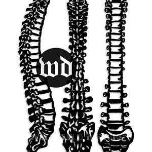 Spinal Cord Papercutting Template, Anatomical Template, Vinyl Template, Commercial Use Template, SVG, JPEG, Spine Template, Halloween Design