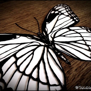 Persönlichen Gebrauch, Vinyl-Vorlage, SVG, Vizekönig Nord amerikanischen Butterfly Papier schneiden Vorlage, JPEG, Engel Omen Vorlage Schmetterling Vorlage