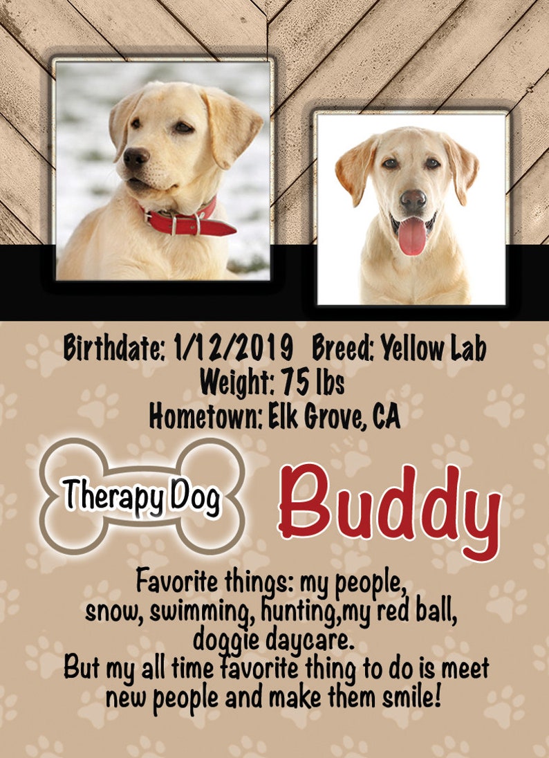 Rustic Custom Therapy Dog Trading Cards Custom Dog Trading Etsy