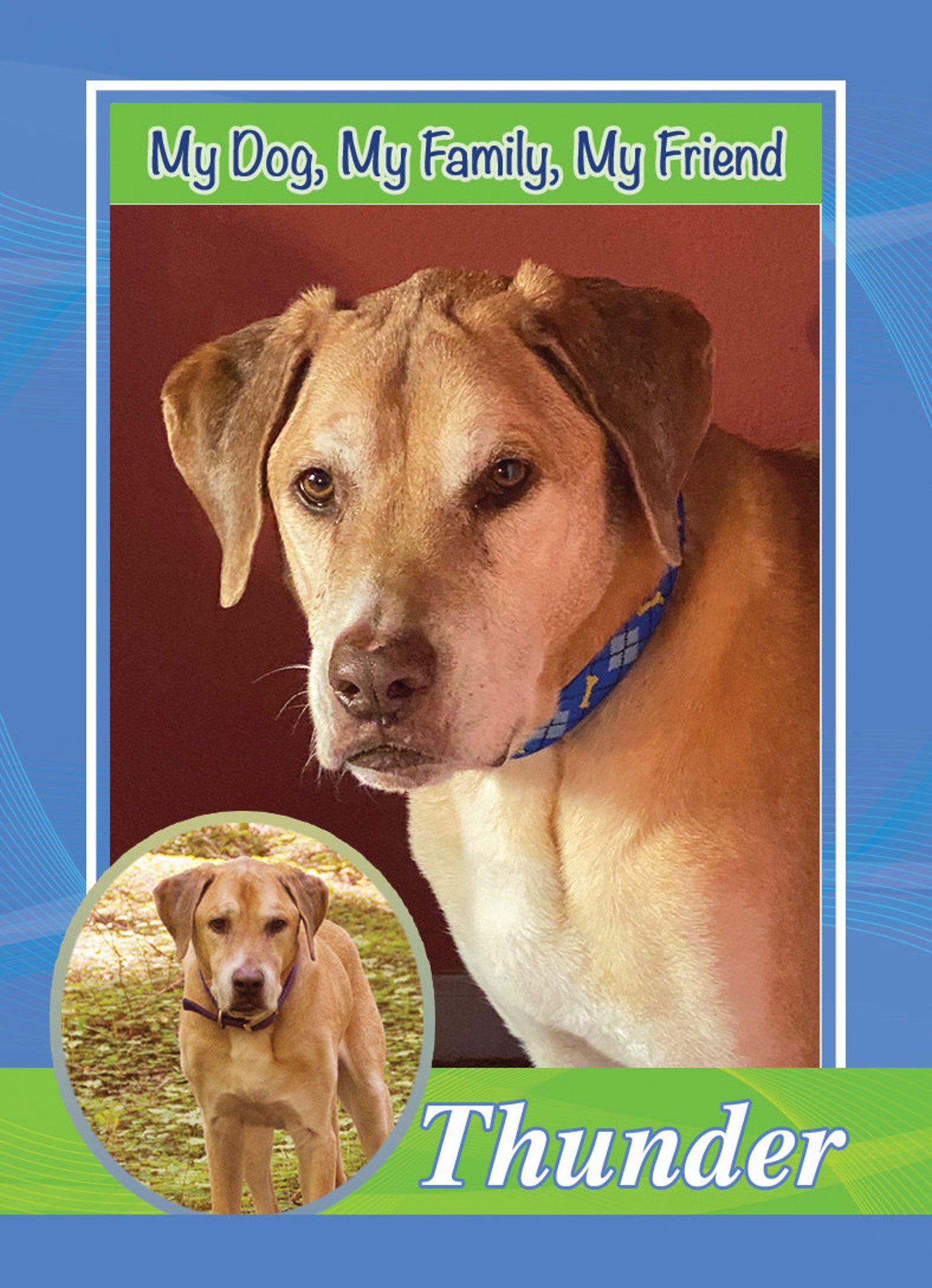 Dog Trading Cards Service Dogs Dog Cards Custom Etsy