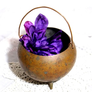May include: A small, copper cauldron with a handle and three legs. The cauldron is filled with purple flower petals.