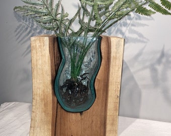 Hand Blown Art Glass Vase In Live Edge Slab, sculptural vase, modern home vase, gifts for wedding, gifts for her