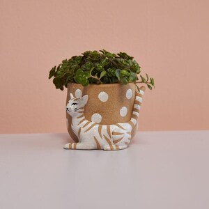 May include: A brown ceramic planter with white polka dots and a white and brown cat design. The planter is filled with a green leafy plant. The cat is lying down, with its tail wrapped around the side of the planter.
