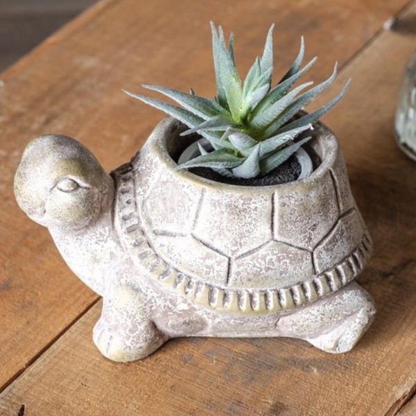 Maceta de cemento con forma de tortuga dorada, regalos para amantes de las tortugas, gente amante de las tortugas, lindas macetas suculentas, regalo para dueños de mascotas, regalo para anfitrionas, regalo peculiar