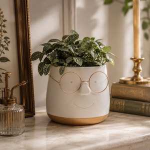May include: A white ceramic planter shaped like a face with a gold-colored base and thin gold-rimmed glasses resting on the nose. The planter contains a green plant with white-veined leaves, creating a character-like appearance for the pot.
