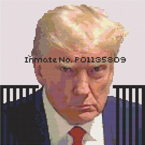 Op de afbeelding: Een kruissteekportret van een man met blond haar, een rode stropdas en een blauw pak. De afbeelding bevat de tekst "Inmate No. P01135809" in het zwart. De achtergrond is lichtroze met een zwart-blauwe hek.