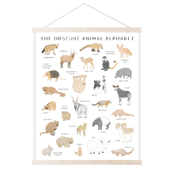 Obscure Animal Alphabet Print: Nursery Art Poster (11x14)