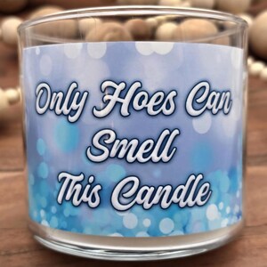 Only Hoes Can Smell This Candle Funny Adult Glass Jar 14oz 3 Wick Candle