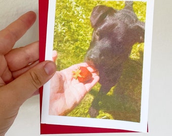 Elliott dog strawberry card