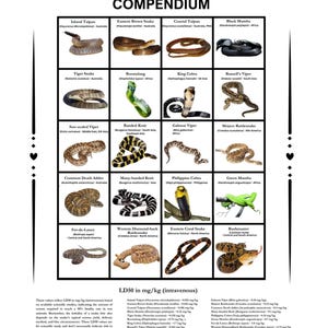 世界で最も毒の強いヘビ20種一覧（デジタルダウンロード版）