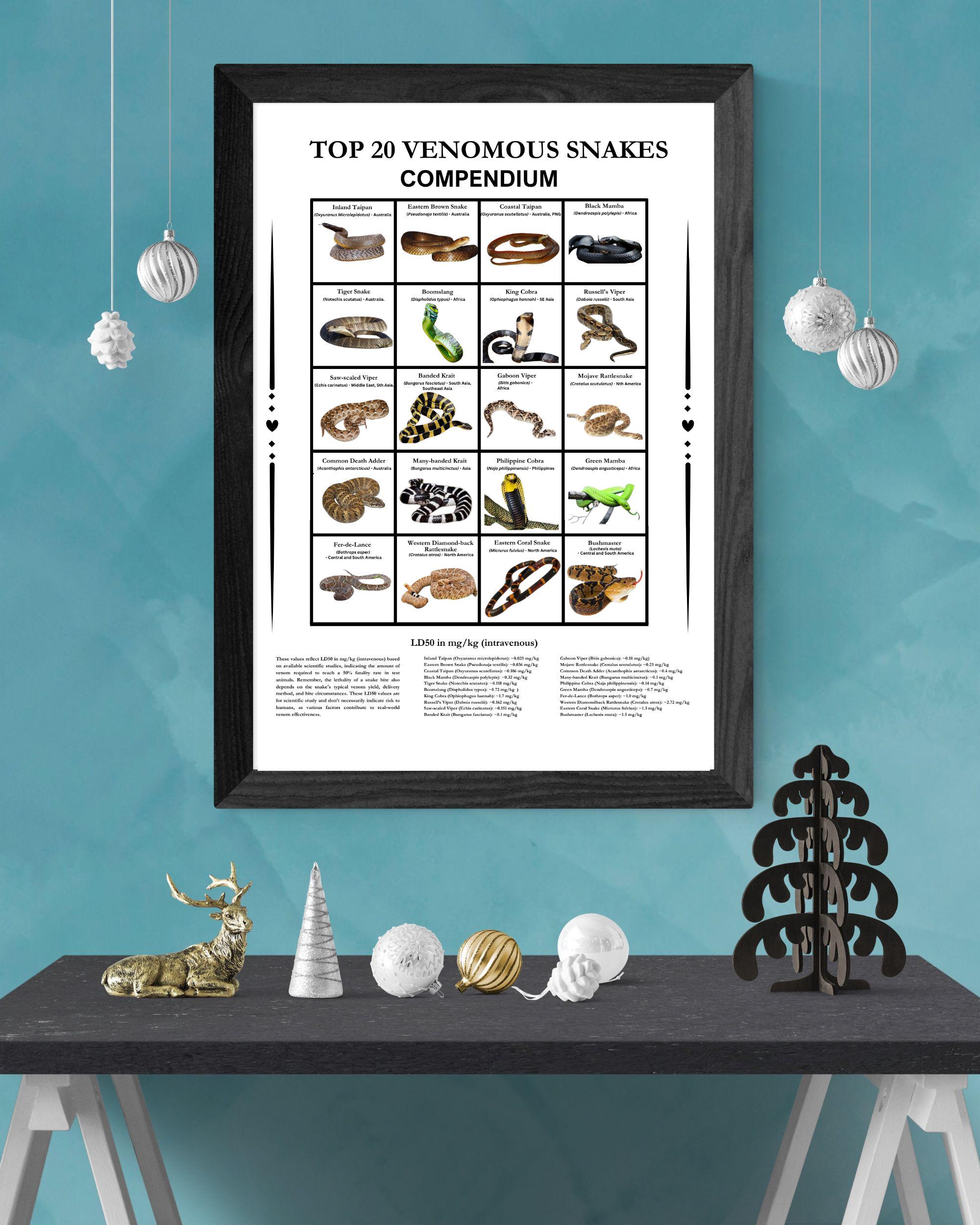 20 Most Venomous Snakes in the World Compendium, Digital Download