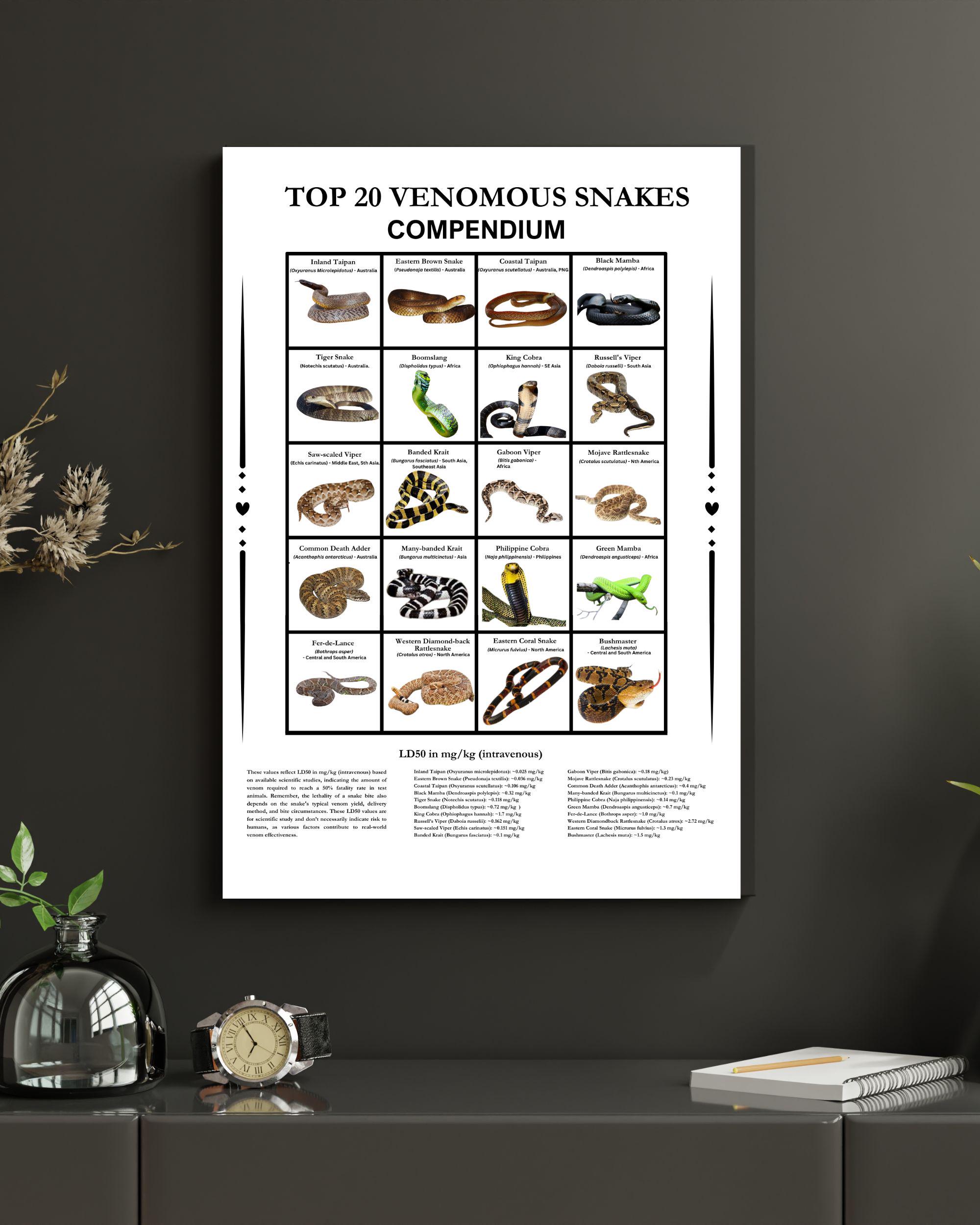20 Most Venomous Snakes in the World Compendium, Digital Download
