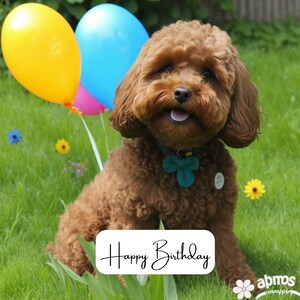 Può includere: Un cane marrone e bianco con un papillon blu è seduto in un campo erboso con palloncini colorati e il testo "Happy Birthday" su uno striscione bianco.
