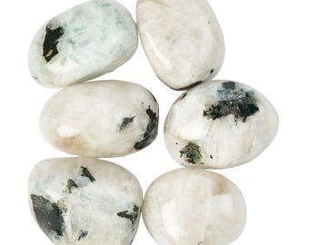 Op de afbeelding: Zes gepolijste Rainbow Moonstone edelstenen, maat 20-30mm, worden getoond tegen een witte achtergrond. De stenen zijn ovaal van vorm, met een parelmoerwitte basiskleur en donkere, mosachtige insluitsels. De tekst "Rainbow Moonstone" en "Size 20 - 30mm" zijn zichtbaar.
