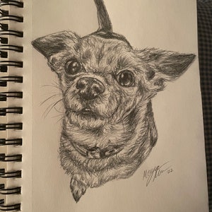 CUSTOM Dog Pet Portrait in Sketch Style
