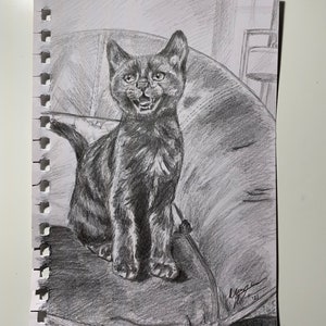 CUSTOM Cat Pet Portrait in Sketch Style