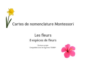 Montessori flower nomenclature cards