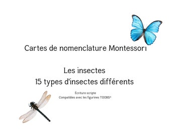 Insect Montessori List Cards