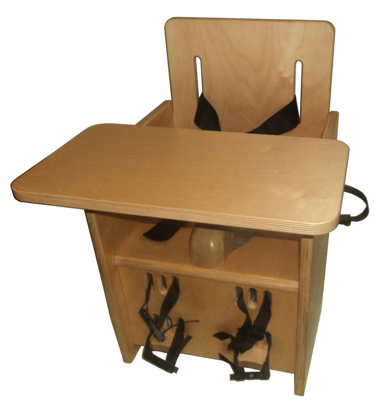 Potty chair for special needs child Etsy