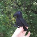 Nevermore Raven Felt Sewing Pattern Pdf Download - Etsy