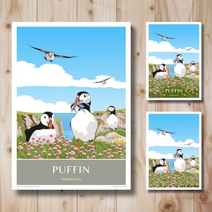 Puffin. British Isles Sea Birds. Travel Poster. Retro Art print