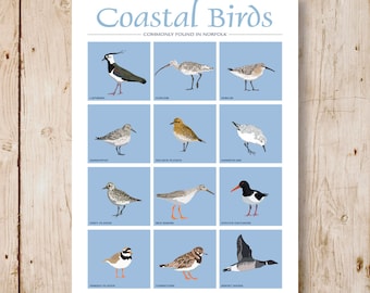 Coastal Birds of Norfolk, Travel Poster. A4, A3, A2, A1 Print, Art Print.