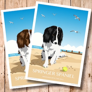 Springer Spaniel, Black and White, Liver and White. Ball Mad. Change text on your print. Animal portrait. Personalised print. Beach