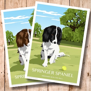 Springer Spaniel, Black and White, Liver and White. Ball Mad. Change text on your print. Animal portrait. Personalised print. Park