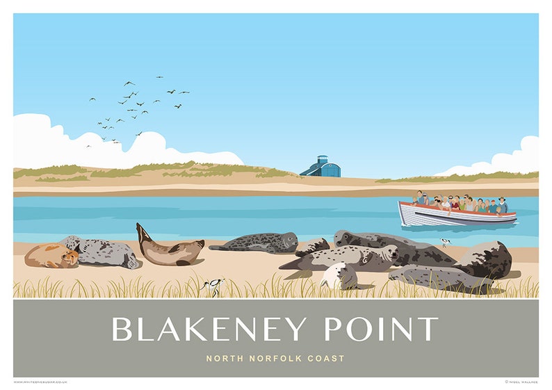 Blakeney Harbour Seal Trips, North Norfolk Coast. . Landscape A4, A3, A2 Portrait version available image 3
