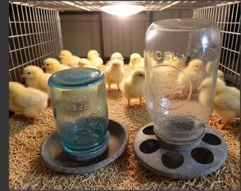 Yellow Chick Waterer (4 Pack) For Poultry - Pheasant, Quail - Mason Jar NOT Included