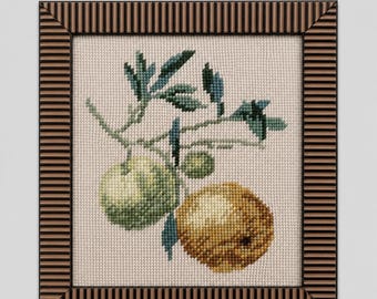 Framed Needlepoint Fruit Art | European Rustic Pear & Quince Wall Decor-1990s
