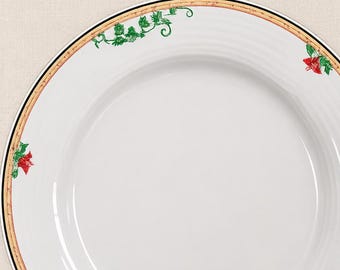Villeroy & Boch Luxembourg Dinner Plates Set of 5 | Ivy Floral Rim China|Like New