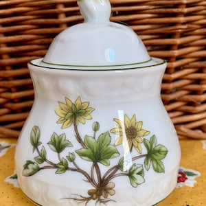 Asta W. Germany Sugar Jar with Lid|1960s 70s|Excellent Condition|Kitchen Storage|Jars