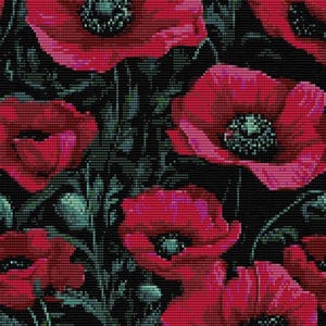 May include: A close-up of a vibrant red poppy flower with a black centre. The flower is surrounded by other poppies and green leaves against a dark background.