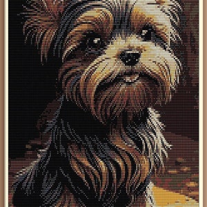 Può includere: Un ritratto ravvicinato di un Yorkshire Terrier con pelo marrone, nero e bianco. Il cane sta guardando direttamente lo spettatore con un'espressione seria. Il cane è seduto su una superficie di legno.
