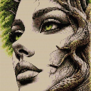 Può includere: Ritratto a mosaico del volto di una donna, con occhi e labbra verdi. I capelli della donna sono una corona di foglie verdi e il suo viso è parzialmente composto da corteccia d'albero, creando un'opera d'arte ispirata alla natura.