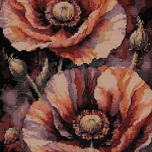 Può includere: Opera d'arte digitale raffigurante due grandi papaveri nei toni dell'arancione, del rosso e del viola. I fiori hanno centri dettagliati e sono ambientati su uno sfondo scuro, con boccioli e foglie visibili.