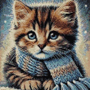 Può includere: Primo piano di un gattino tabby marrone con occhi azzurri. Il gattino indossa una sciarpa blu e bianca e guarda direttamente lo spettatore.