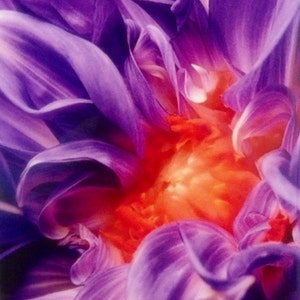 Fire Flower Ceramic Wall Art Tile, 8" by 12" Glossy Finish, With Or Without A Frame.