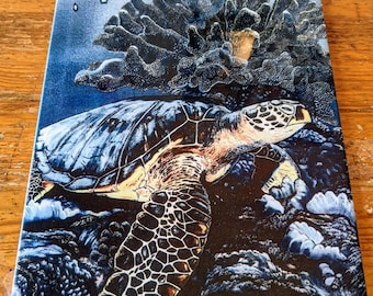 Płytka ścienna Turtle Ceramic, 8" x 12" z błyszczącym wykończeniem, z ramą lub bez.