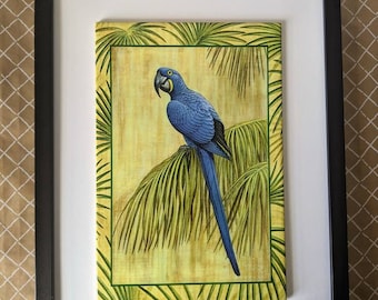 Płytka ścienna Parrot Ceramic, 8" x 12" z błyszczącym wykończeniem, z ramą lub bez.