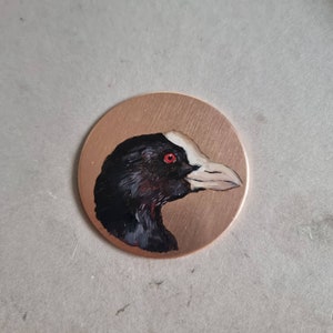 Bird Coot Portrait Original miniature on copper Round painting with gilded ash frame, Hand Painted bird for Parents Home Gifts, Wall Decor image 4