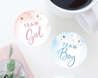 Twinkle Twinkle Gender Reveal - Team Boy Team Girl Stickers - Gender Reveal Favor Stickers - Pink or Blue - Star - Boy or Girl - Baby Shower