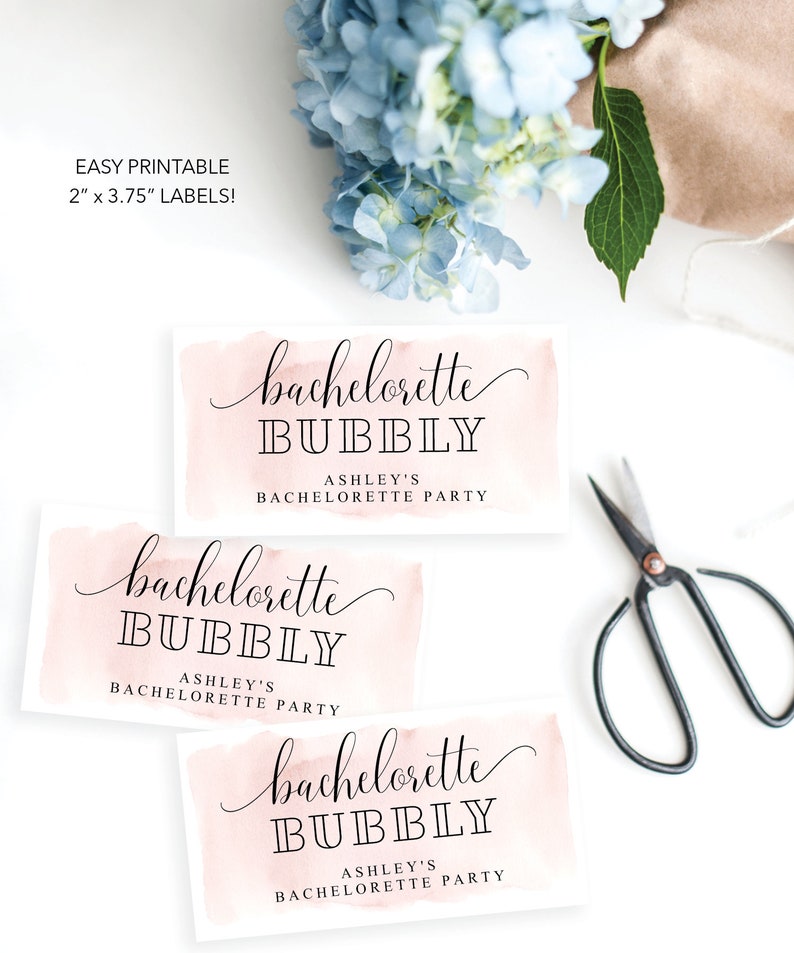 Bachelorette Party Mini Champagne Labels, Printable Editable Champagne Labels, Party Decorations, Bachelorette Bubbly, Blush image 3