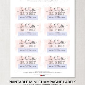 Bachelorette Party Mini Champagne Labels, Printable Editable Champagne Labels, Party Decorations, Bachelorette Bubbly, Blush image 8