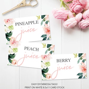 Mimosa Bar Juice Tags Hanging Juice Tags Mimosa Bar Tags Editable Tag Bridal Shower Decor Printable Tag Airy Blush image 4