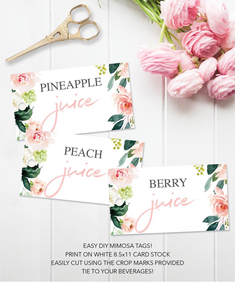 Mimosa Bar Juice Tags Hanging Juice Tags Mimosa Bar Tags Etsy
