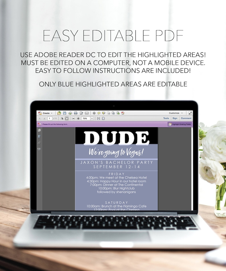 dude-bachelor-party-itinerary-template-digital-schedule-etsy