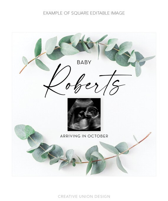 Eucalyptus Pregnancy Announcement with Photo, Digital Social Media Baby